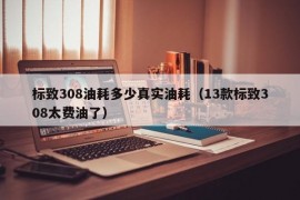 标致308油耗多少真实油耗（13款标致308太费油了）