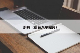 蔚领（蔚领汽车图片）