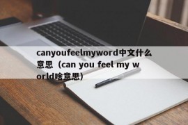 canyoufeelmyword中文什么意思（can you feel my world啥意思）