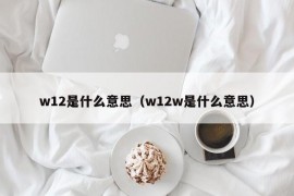 w12是什么意思（w12w是什么意思）