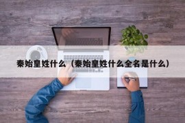 秦始皇姓什么（秦始皇姓什么全名是什么）