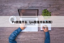 PU胶是什么（pu胶是什么东西）