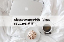 GigasetMEpro参数（gigaset 2020说明书）