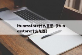 itunesstore什么意思（itunesstore什么东西）