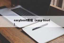 easyboot教程（easy boot）