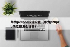 华为p20pro按键设置（华为p20pro功能键怎么设置）