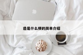 造是什么梗的简单介绍