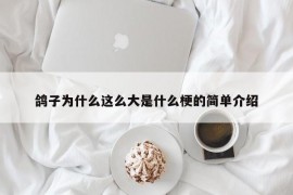 鸽子为什么这么大是什么梗的简单介绍