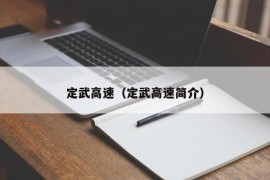 定武高速（定武高速简介）