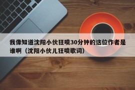 我像知道沈阳小伙狂喷30分钟的这位作者是谁啊（沈阳小伙儿狂喷歌词）