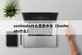 soulmate什么意思中文（Soulmate什么）