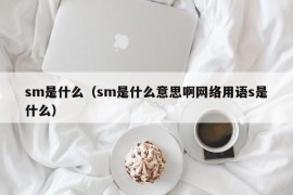 sm是什么（sm是什么意思啊网络用语s是什么）