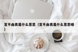 言不由衷是什么意思（言不由衷是什么意思哦）