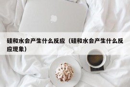 硅和水会产生什么反应（硅和水会产生什么反应现象）