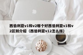 西伯利亚v1和v2哪个好西伯利亚v1和v2区别介绍（西伯利亚v12怎么样）