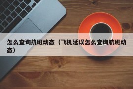 怎么查询航班动态（飞机延误怎么查询航班动态）