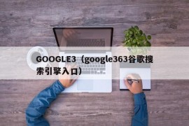 GOOGLE3（google363谷歌搜索引擎入口）