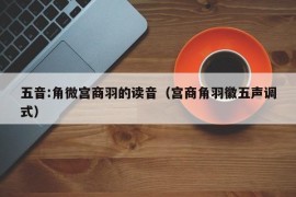 五音:角微宫商羽的读音（宫商角羽徽五声调式）