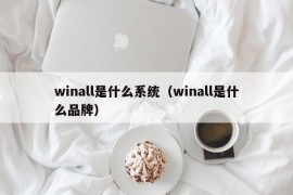 winall是什么系统（winall是什么品牌）