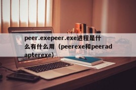peer.exepeer.exe进程是什么有什么用（peerexe和peeradapterexe）