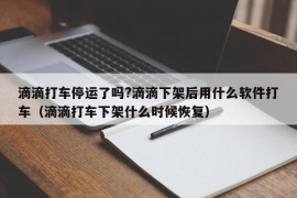 滴滴打车停运了吗?滴滴下架后用什么软件打车（滴滴打车下架什么时候恢复）