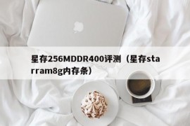 星存256MDDR400评测（星存starram8g内存条）