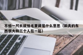 不怕一尺长就怕毛里藏是什么意思（前夫的东西很大和三个人在一起）