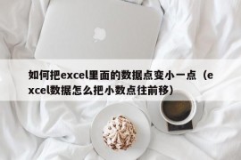 如何把excel里面的数据点变小一点（excel数据怎么把小数点往前移）