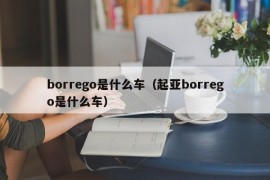 borrego是什么车（起亚borrego是什么车）