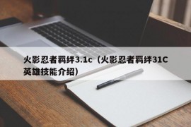 火影忍者羁绊3.1c（火影忍者羁绊31C英雄技能介绍）