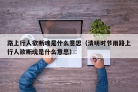 路上行人欲断魂是什么意思（清明时节雨路上行人欲断魂是什么意思）