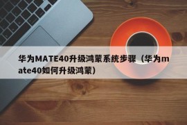 华为MATE40升级鸿蒙系统步骤（华为mate40如何升级鸿蒙）