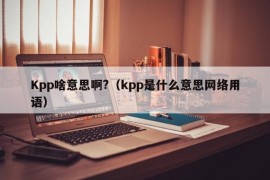 Kpp啥意思啊?（kpp是什么意思网络用语）