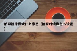 拍照镜像模式什么意思（拍照时镜像怎么设置）