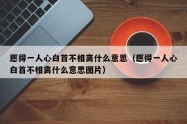 愿得一人心白首不相离什么意思（愿得一人心白首不相离什么意思图片）