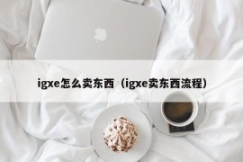 igxe怎么卖东西（igxe卖东西流程）