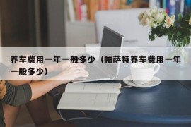 养车费用一年一般多少（帕萨特养车费用一年一般多少）