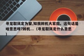 寻龙取凤定为窗,知我辫机大家庭。这句话是啥意思呀?辫机...（寻龙取凤定什么意思）