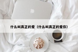 什么叫真正的爱（什么叫真正的爱你）