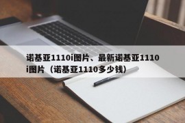 诺基亚1110i图片、最新诺基亚1110i图片（诺基亚1110多少钱）