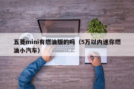 五菱mini有燃油版的吗（5万以内迷你燃油小汽车）