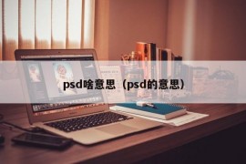 psd啥意思（psd的意思）