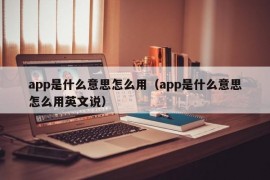 app是什么意思怎么用（app是什么意思怎么用英文说）