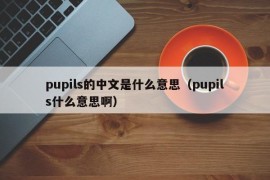 pupils的中文是什么意思（pupils什么意思啊）