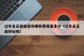 过年去云南旅游攻略和费用是多少（过年去云南好玩吗）