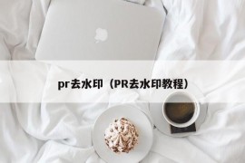 pr去水印（PR去水印教程）