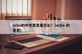 echo的中文意思是什么?（echo 的意思）