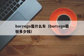 borrego是什么车（borrego霸锐多少钱）