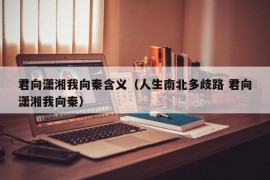 君向潇湘我向秦含义（人生南北多歧路 君向潇湘我向秦）