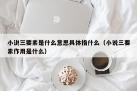 小说三要素是什么意思具体指什么（小说三要素作用是什么）